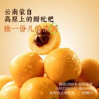 可可满分枇杷雪梨水菊花柚子水竹蔗茅根水中式植物饮料煮系列配料简单 枇杷雪梨水 500ml