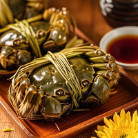 蟹叁钳庄 鲜活大闸蟹 全母2.0-2.3 8只
