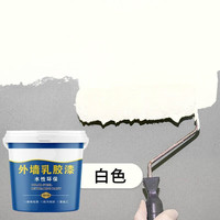 皇家大师 ROYAL MASTER 外墙漆防水防晒乳胶漆外墙涂料室外耐久别墅轮胎彩绘油漆外墙面漆 白色