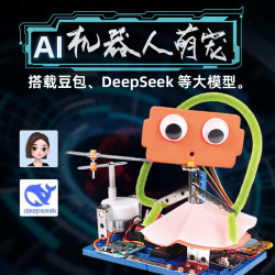 娃娃博士 Dr．B 人工智能AI编程大模型豆包机器人机对话小学生科学小制作实验玩具 AI机器人-接入大模型