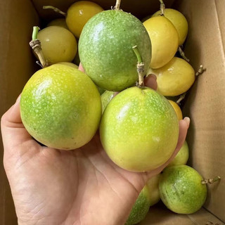 尹福记 钦蜜9号百香果 2.25-2.5斤 单果70-90g