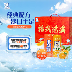 北冰洋 Beijing Arctic Ocean 北冰洋 桔橙双拼碳酸饮料 330ml*12罐