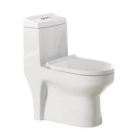 松鲸 卫浴家用马桶坐便器大冲力超漩虹吸式静音连体座便器小户型马桶 款【管道施釉】300坑距
