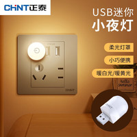 正泰(CHNT)小夜灯LED插电USB母婴灯触控卧室床头灯起夜灯磁吸式创意氛围灯 长亮款0.38W粉色单支 LED小夜灯