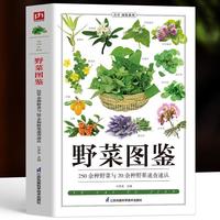 250种野菜与20余种野果速查速认》