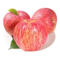 京愿陕西红富士苹果脆甜丑苹果时令平果新鲜冰糖心苹果水果生鲜 【果农】优选5斤装（净重4.5斤）