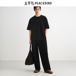 太平鸟 男装T恤BACNF215E 黑色 第一批 XL