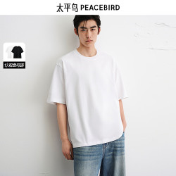 太平鸟 男装T恤BACNF215E 白色 第一批 L