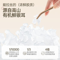 【鲜炖即享】金燕耳鲜炖桃胶银耳羹陈皮莲子红豆沙红枣紫薯羹达人