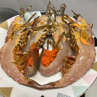 潮海堂海捕青龙虾鲜活冷冻小青龙花龙虾海鲜宴席生鲜新鲜聚餐 300g-350g一只小青龙