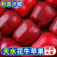 甘肃天水花牛苹果水果新鲜整箱粉面刮泥蛇果应季平果
