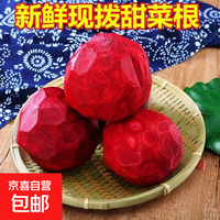 无品牌 国产新鲜甜菜根 5斤+3斤