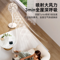 钻石牌（DIAMOND）电风扇落地扇家用节能落地风扇立式大风量客厅宿舍机械轻音电扇SN