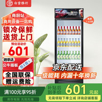 白雪雅竹 展示柜冷藏大容量饮料柜冰柜商用保鲜柜超市玻璃门冰箱立式啤酒柜 小单门直冷