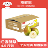 京鲜生 河北红香酥梨 净重4.5斤 单果120g+ 生鲜水果 源头直发