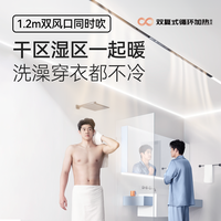 奥普线性浴霸【政府补贴】浴霸风暖一体智能双区蜂窝大板石膏板奥芯FY 标配奥芯FY丨双区恒温取暖