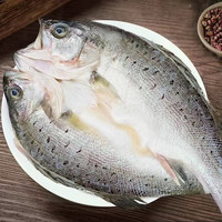 一众香海鲈鱼开背免洗免杀商用烧烤家庭海鱼大号七星鲈鱼半成品批发 毛重-含冰率25%【3条】