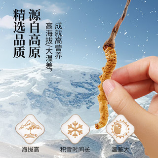 同仁堂 冬虫夏草 5根/g 4g(20根) 礼盒装