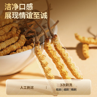 同仁堂 冬虫夏草 5根/g 4g(20根) 礼盒装