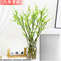 一名花匠 YIMINGHUAJIANG 雅卉龙柳干树枝水培龙柳鲜枝水养懒人植物室内客厅落地长杆鲜花 40-50厘米高无分叉10棵