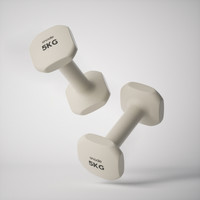 斯诺德 哑铃 实心铸铁 1KG*2