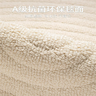 Y U-LIVE地毯防水可擦免洗客厅2025卧室轻奢高级地毯法风奶油风大面积 硅藻丝-菠萝圈-本白 300cm*400cm 