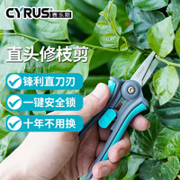 赛乐斯 Cyrus 园艺直头剪刀园艺修枝剪修盆景修草坪园林工具剪枝树枝剪刀花剪刀