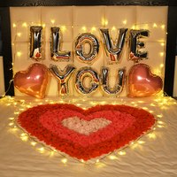 韩猫 Hanmao 韩猫 表白求婚布置装饰道具 玫瑰花瓣气球灯串