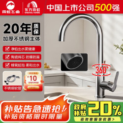 雨虹飞鱼 东方雨虹厨房水龙头304不锈钢洗菜盆龙头360°旋转冷热双控亮银