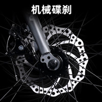飞鸽 钢架内走线双碟刹 24速 公路自行车