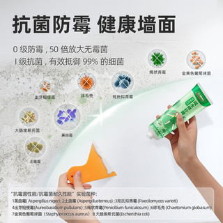 三棵树漆（SKSHU）墙面修补膏补墙膏 家用腻子膏防水防霉墙面修复遮盖裂缝修补 防霉耐水修补膏 2.5kg*1件