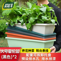 尚洋 霍伦 种菜花盆 大号 黑色*2