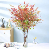 种花迷水培室内植物盆栽火焰南天竹办公室内南北方水培花卉绿植 南天竹 30-40厘米高1棵