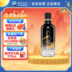 洋河 小黑瓶 42%vol 浓香型白酒 100ml 单瓶装
