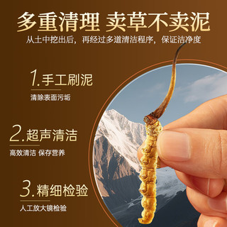 九芝堂冬虫夏草1g约5根/g 干虫草滋补品 长辈领导养生营养品