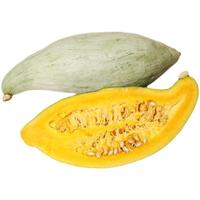 新疆贵族南瓜【现摘现发】超甜板栗味5斤贝贝小南瓜精选粉糯宝宝丑瓜 臻选贵族5斤礼盒装