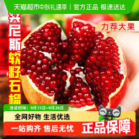 新欢 突尼斯软籽石榴 中果 单果250-300g 净重5斤