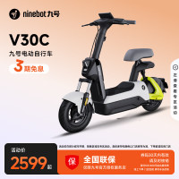 九号 V30C 电动自行车 TDT094Z