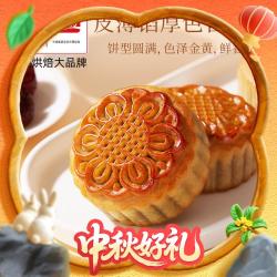 盼盼 广式蓉沙月饼 蛋黄味+红豆味 42g*12枚