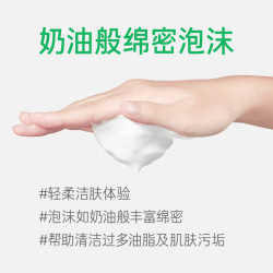 悦诗风吟 绿茶精萃清润保湿氨基酸洁面乳