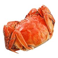 【活蟹】苏逸阁大闸蟹鲜活螃蟹生鲜特大公母蟹去绳净重 网兜蟹单只1.5-1.8两含3只母蟹