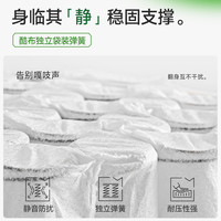麻大师 护脊椎 双人席梦思硬床垫