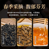 江茶集团 JIANGXI TEA GROUP 红茶 特级 125g 罐装