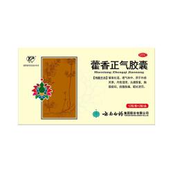 云南白药 藿香正气胶囊0.3克*12粒/板*2板/盒