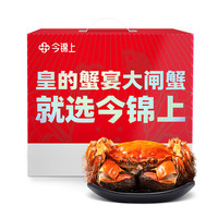 【活蟹】今锦上精品大闸蟹鲜活螃蟹中秋礼盒全母2.7-3.0两8只