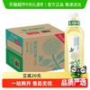农夫山泉 东方树叶茉莉花茶900ml*12瓶