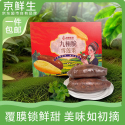 京鲜生 云南天山雪莲果中秋礼盒 净重6斤 单果300g+ 源头直发包邮