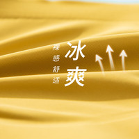 奥维丝丽无痕内衣女舒适聚拢中薄透气文胸收副乳防下垂无钢圈胸罩 绿色 L