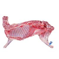 京觅宁夏滩羊肉 现宰原切带骨羊后腿5斤清真食材 源头直发 5斤|【整根鲜嫩羊后腿】