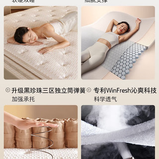 KUKA/顾家家居 撑腰系列 DK.M1218P 乳胶弹簧床垫